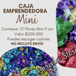 Caja Emprendedora x 12 Flores MINI(10cm) Colores Variados